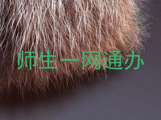 师生一网通办