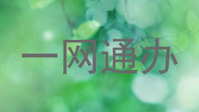 一网通办