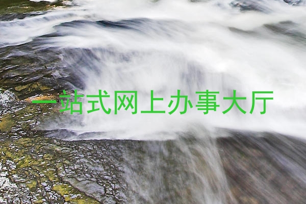 一站式网上办事大厅