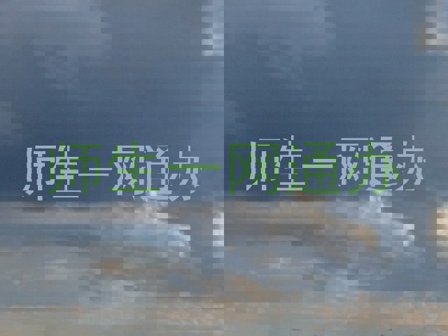 师生一网通办