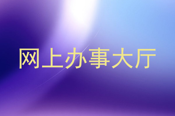 网上办事大厅