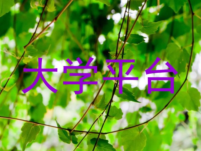 大学平台