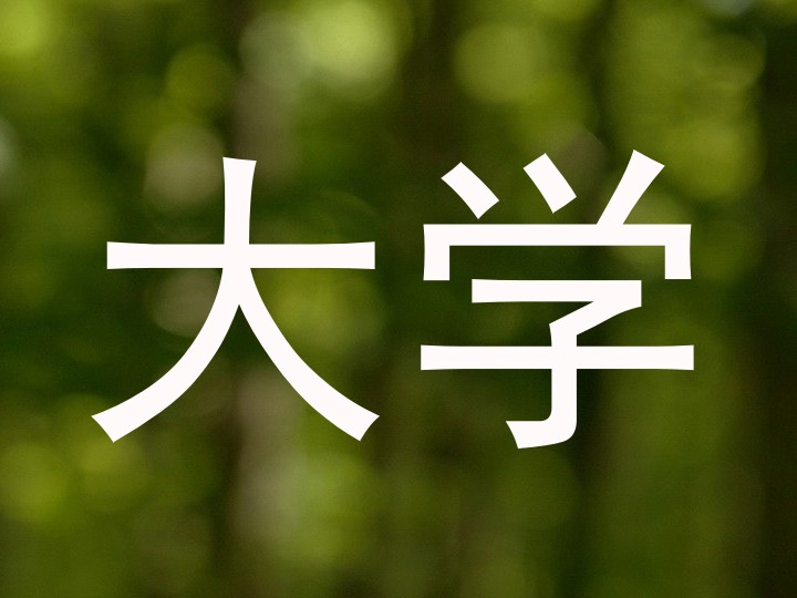 大学