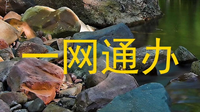 一网通办