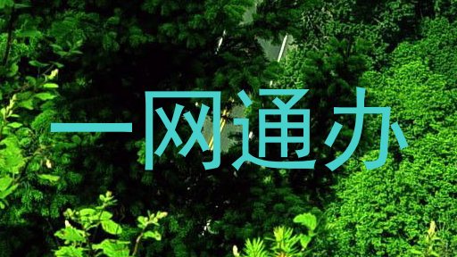 一网通办