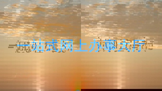 一站式网上办事大厅