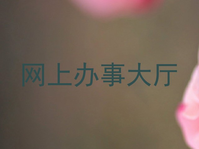 网上办事大厅