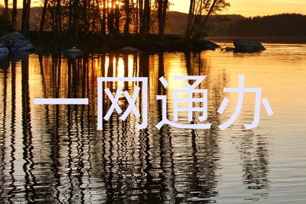 一网通办