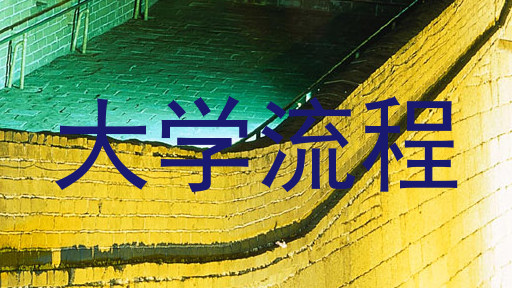 大学流程