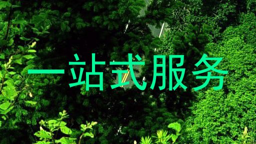 一站式服务
