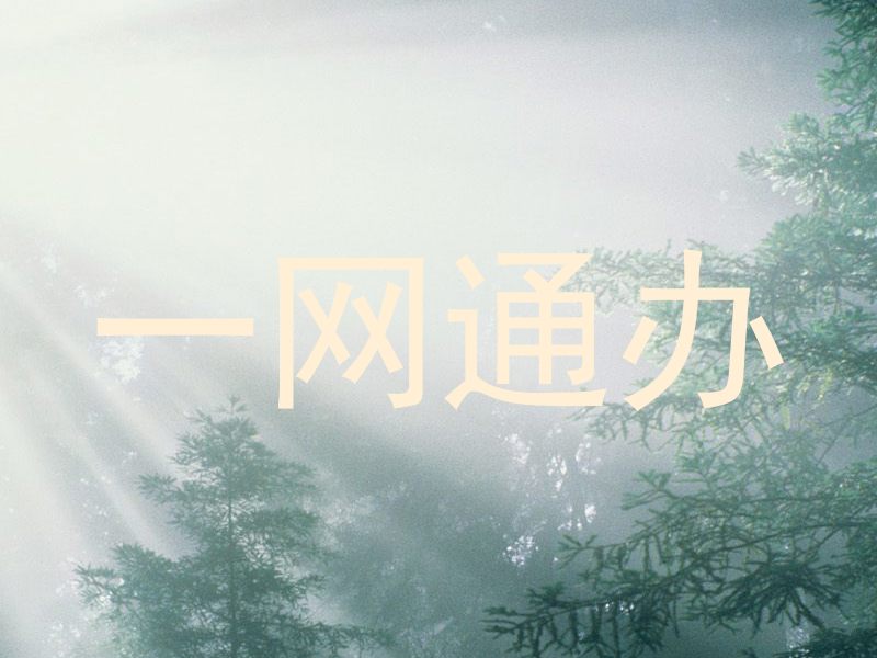 一网通办