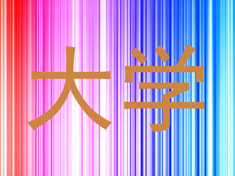 大学