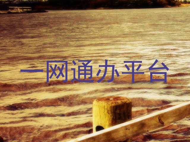 一网通办平台
