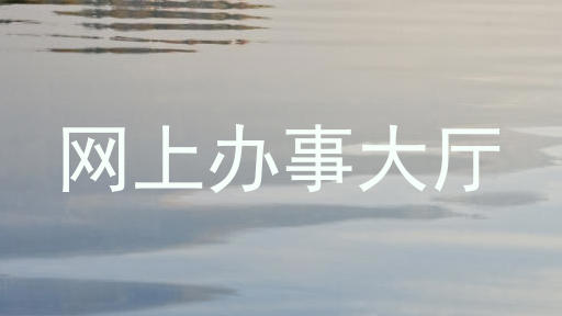 网上办事大厅