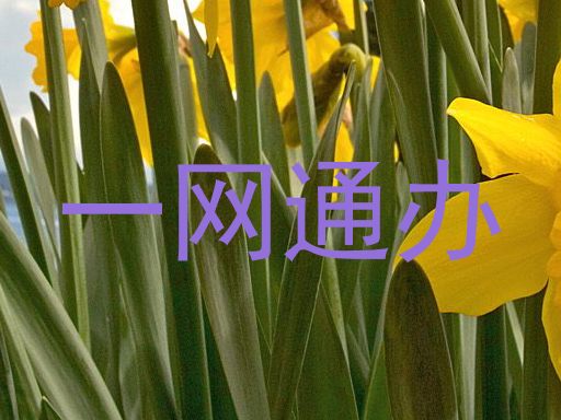 一网通办