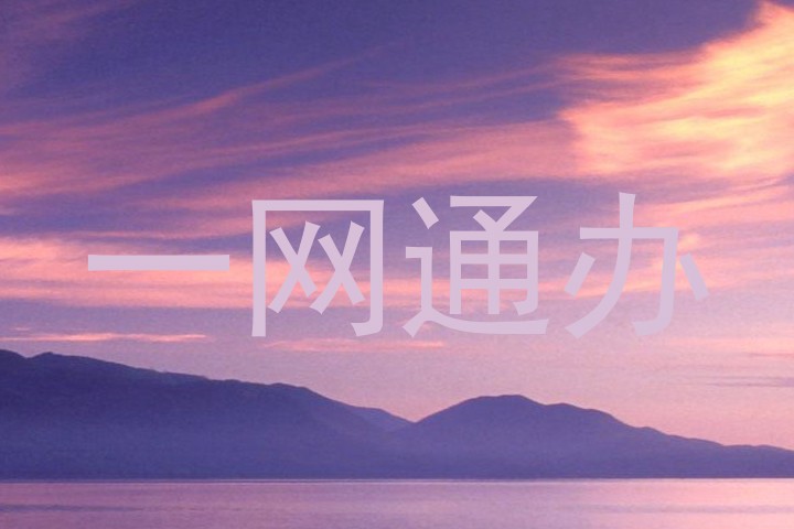一网通办