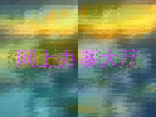 网上办事大厅