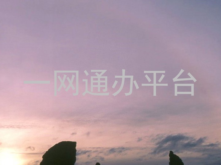 一网通办平台