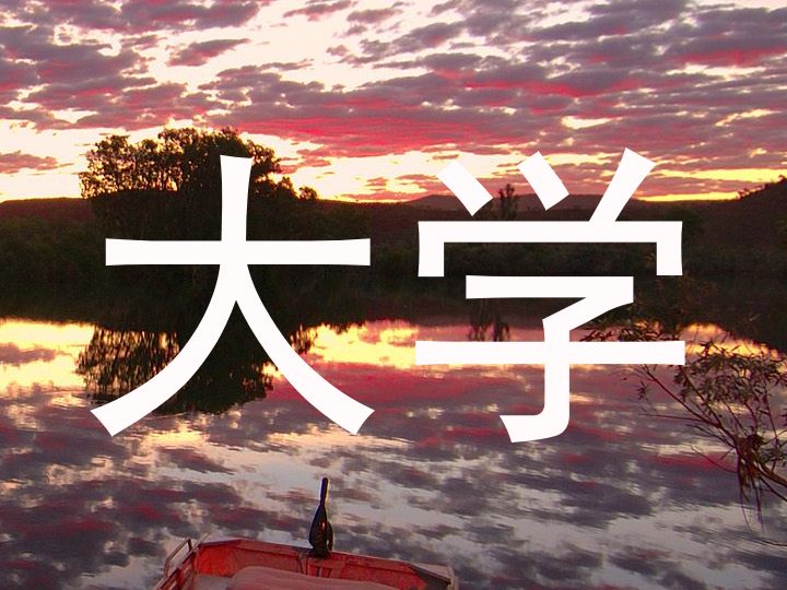大学
