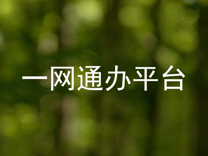 一网通办平台