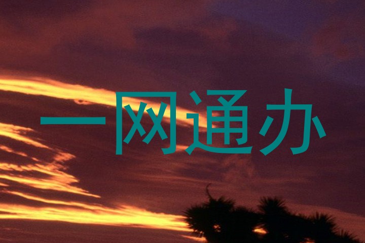 一网通办