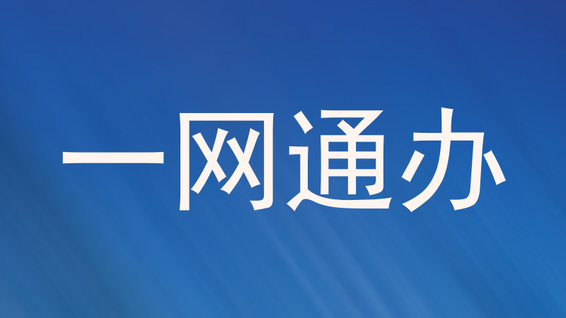 一网通办