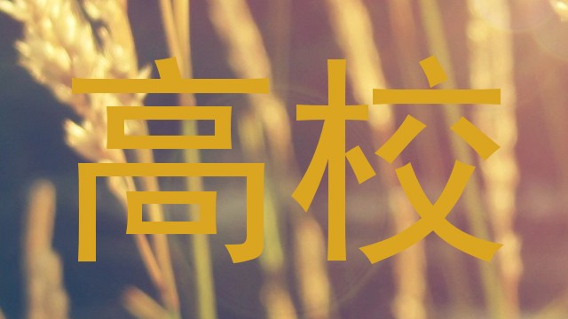 高校