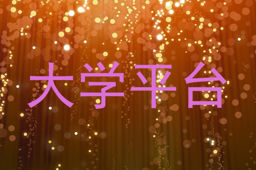 大学平台