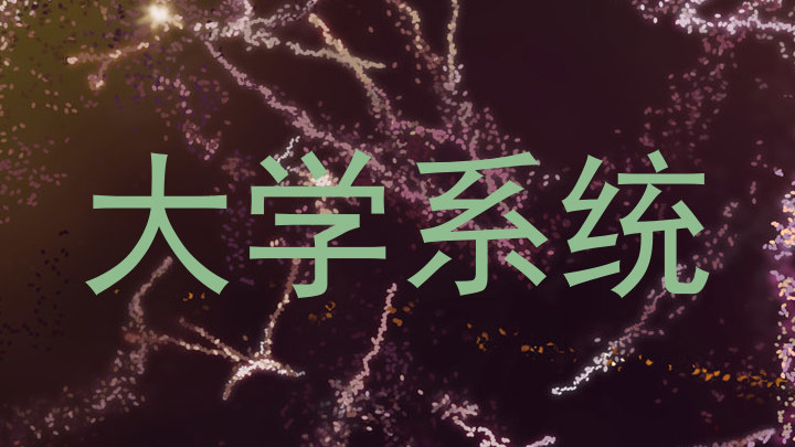 大学系统