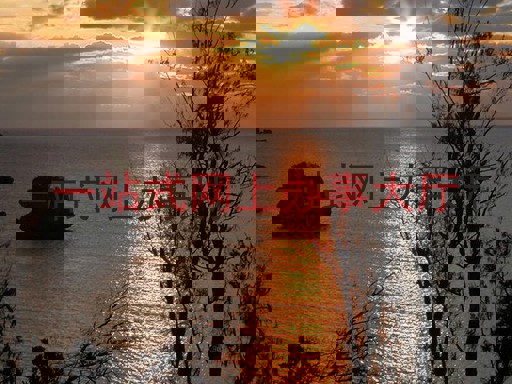 一站式网上办事大厅