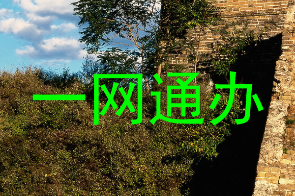 一网通办