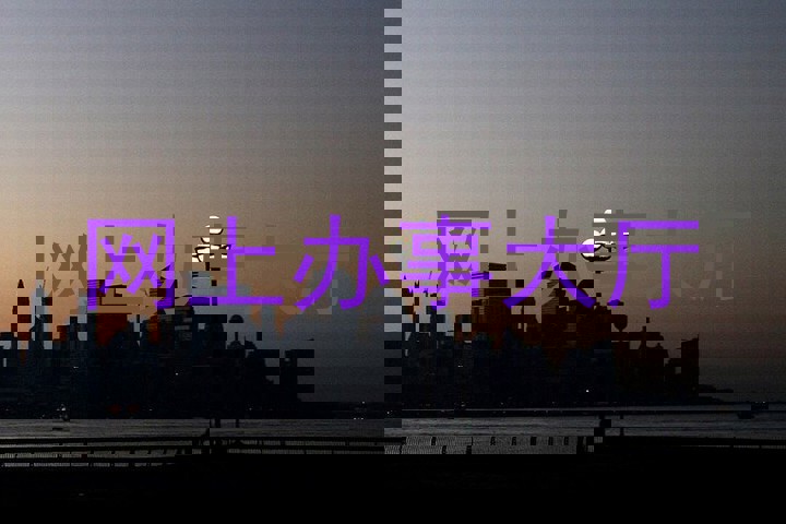 网上办事大厅