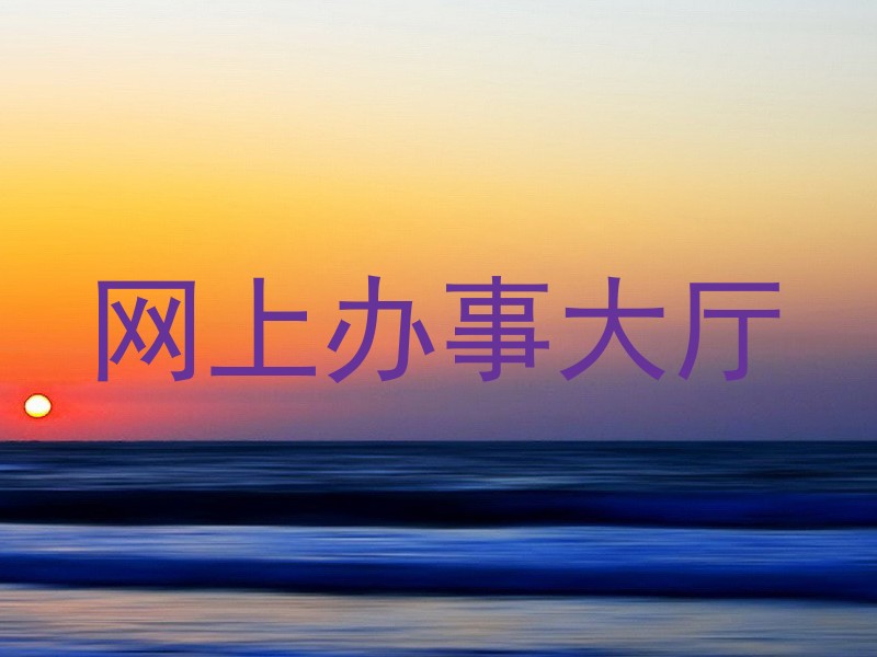 网上办事大厅