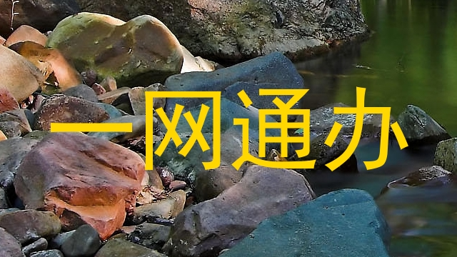 一网通办