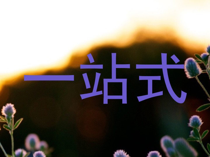 一站式