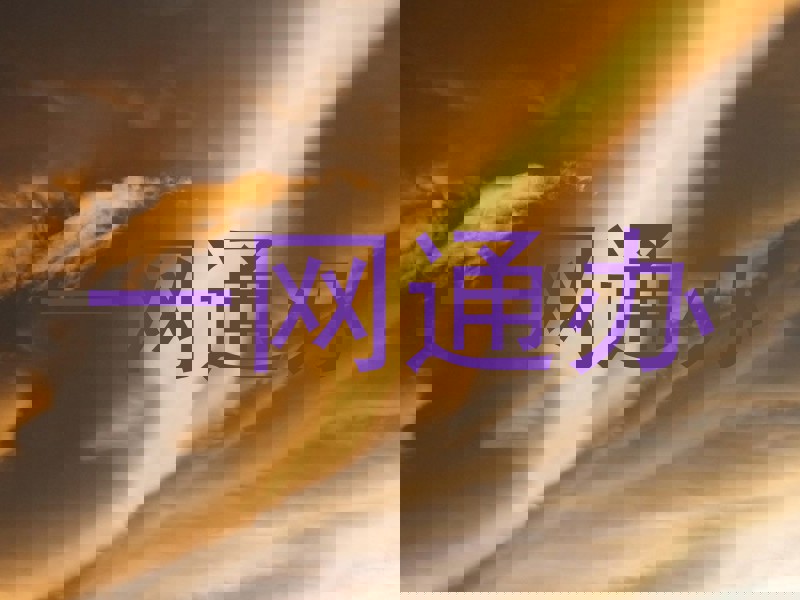 一网通办