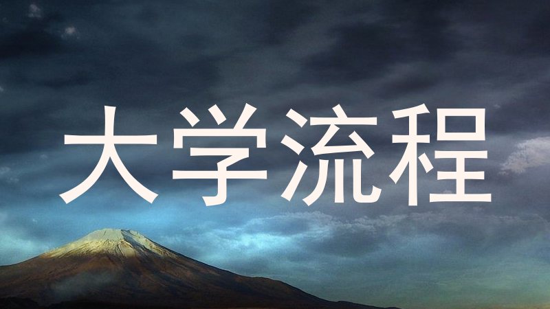 大学流程