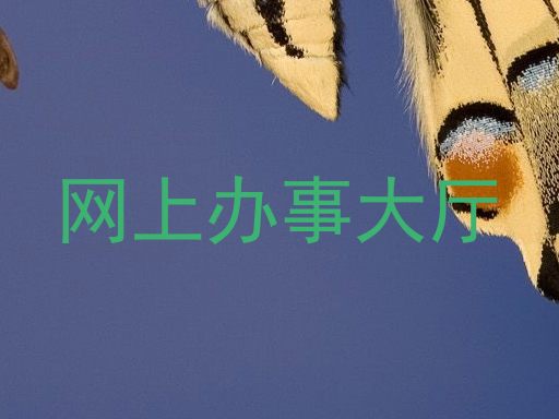 网上办事大厅
