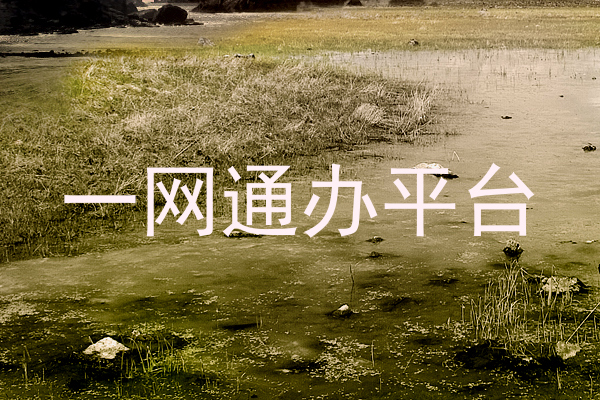 一网通办平台