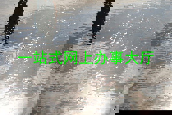 一站式网上办事大厅