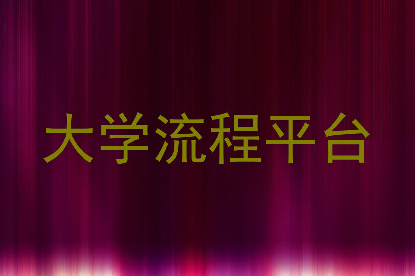 大学流程平台