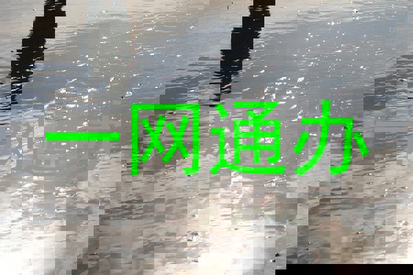 一网通办