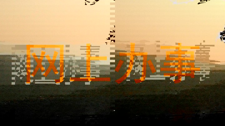 网上办事