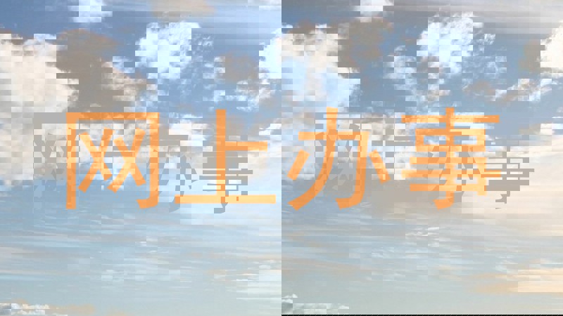 网上办事