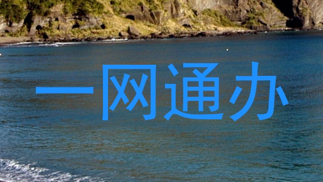 一网通办