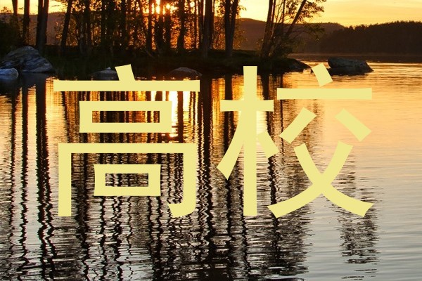 高校