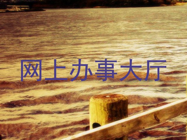 网上办事大厅