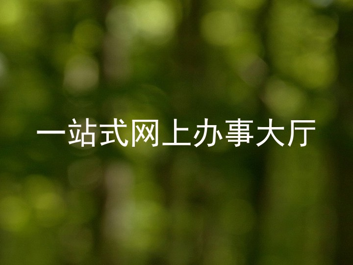 一站式网上办事大厅