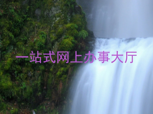 一站式网上办事大厅