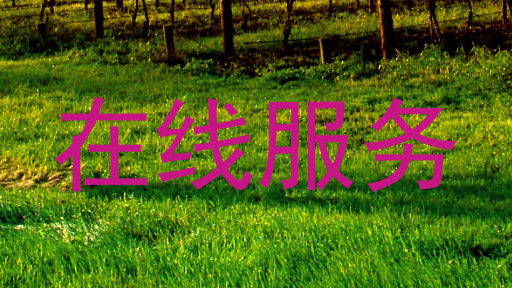 在线服务